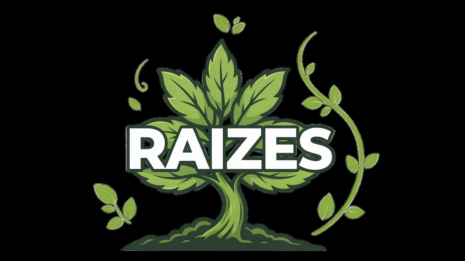 Raizes