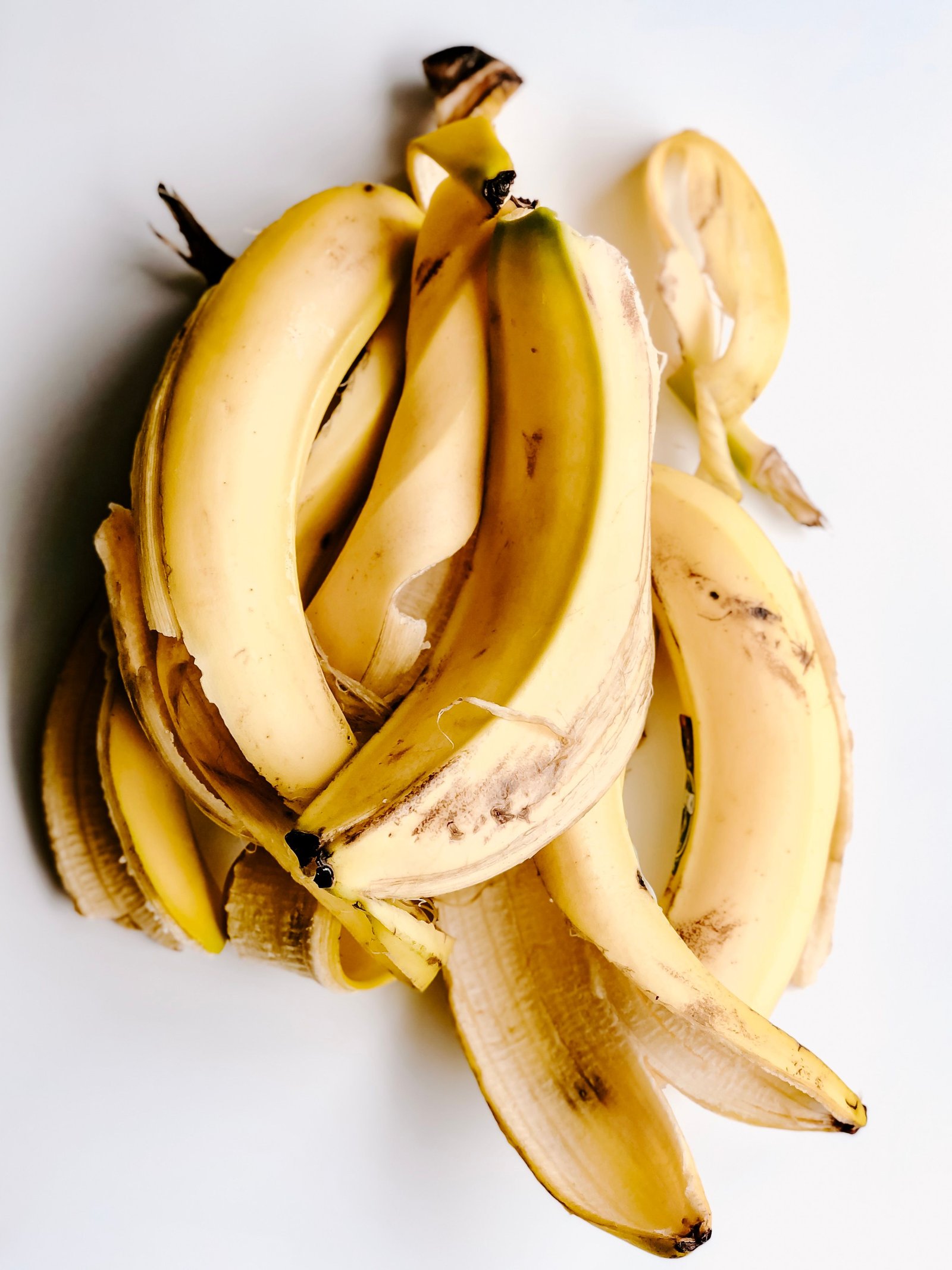 Casca de Banana nas Plantas: Como Aproveitar, Preparar e Evitar os Erros Mais Comuns