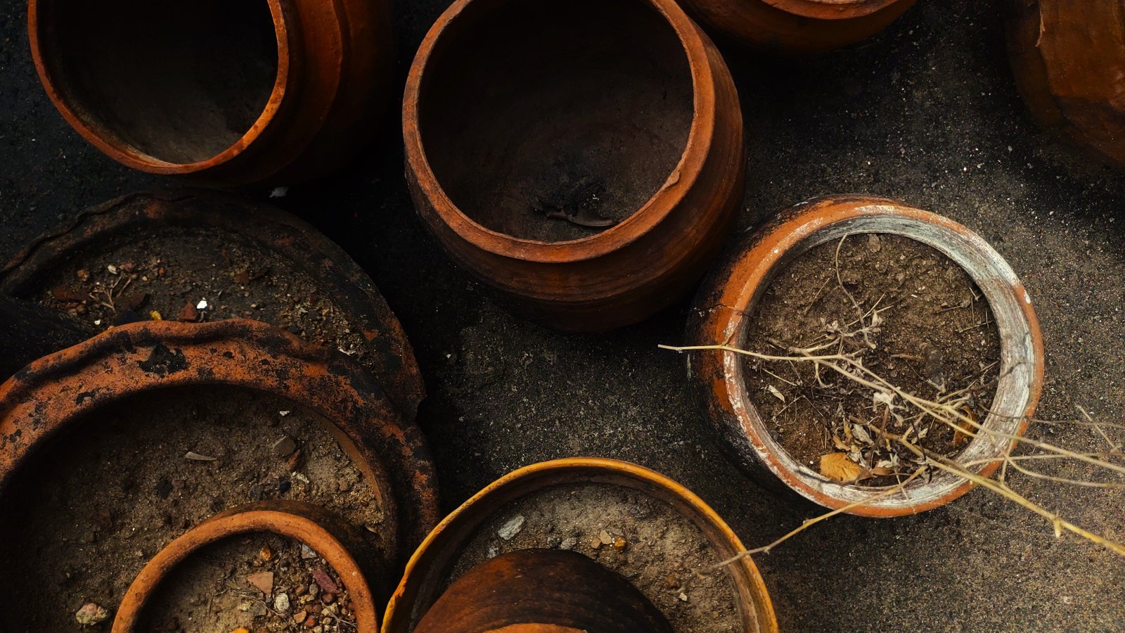 Como recuperar terra velha de vasos